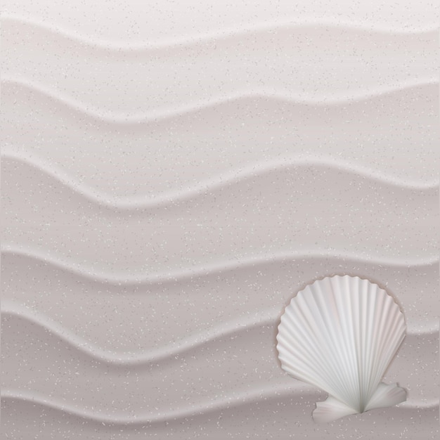 Vector marine background with seashell on sand. vector illustration