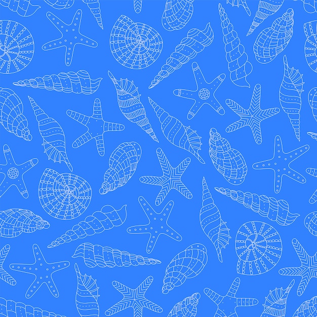 Marine background with seashell and starfish.