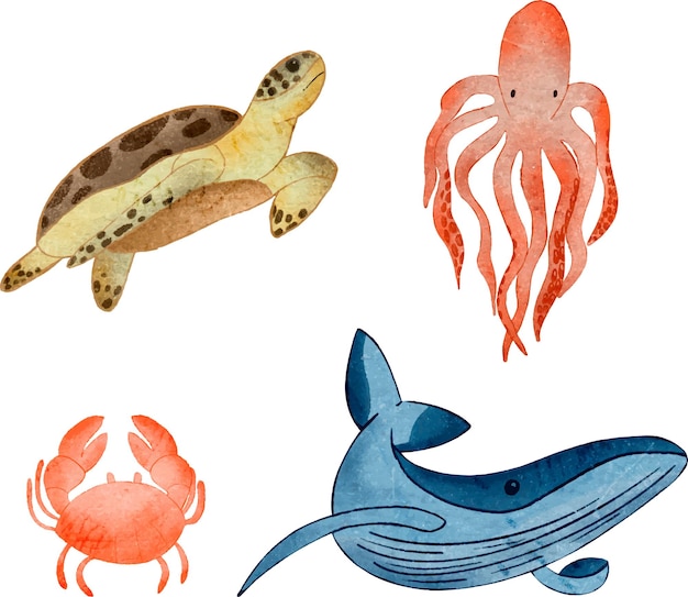 Marine life turtle whale jellyfish crab Illustration of children's marine animals graphics Sea