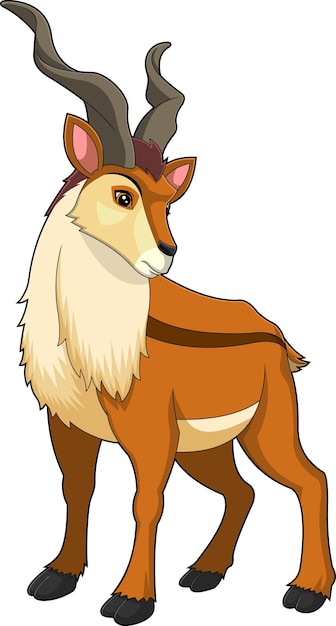 Vector markhor animal cartoon character