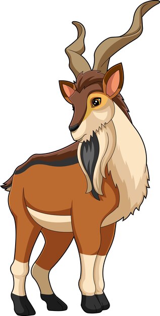 Vector markhor animal cartoon character