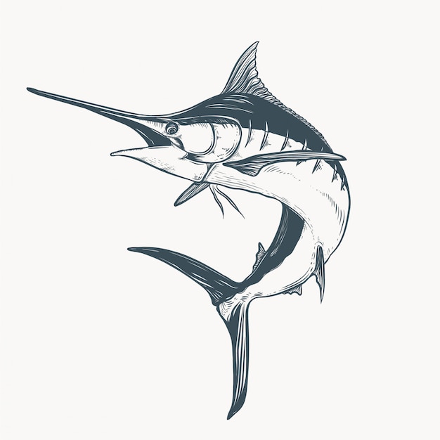 marlin drawing illustration