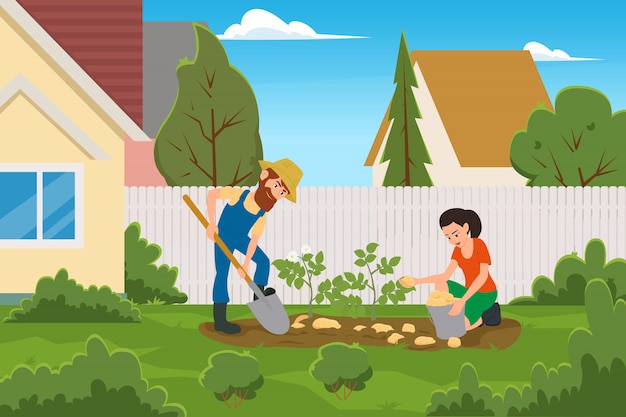 Married couple harvesting potatoes in the backyard of the house.