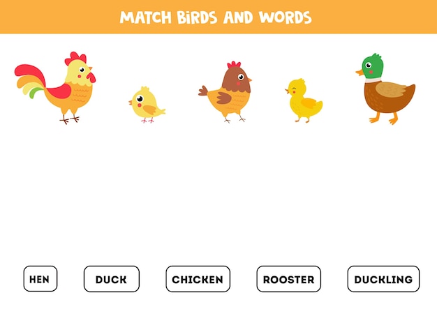 Match farm birds and written words. Logical puzzle for kids. Printable worksheet.