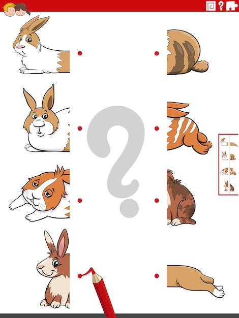 Match halves of pictures with rabbits educational game