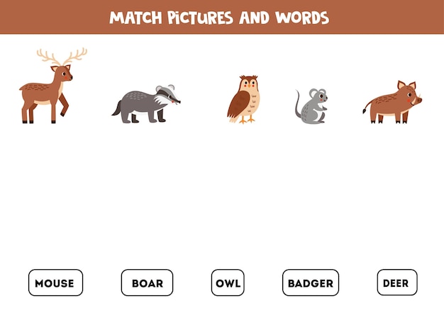 Matching game Match cute woodland animals and words