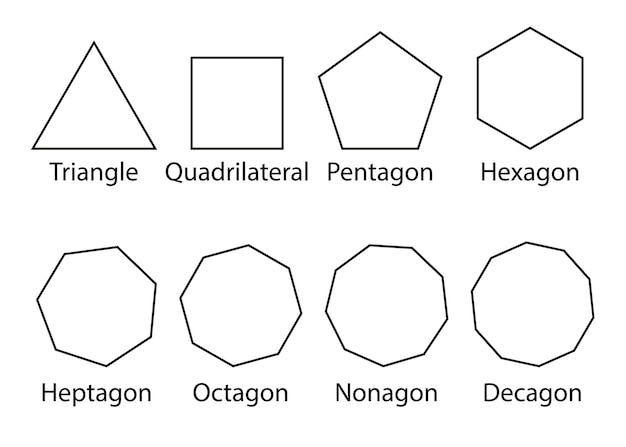 Vector mathematical shapes types of polygon vector illustration white background