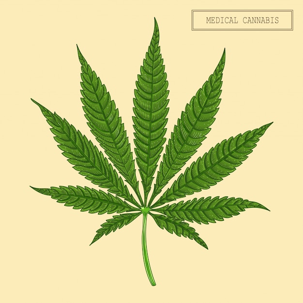 Medical Cannabis Leaf