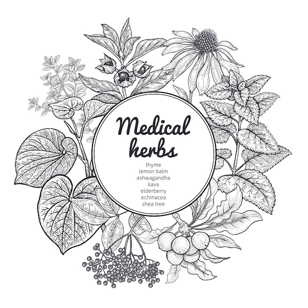 Medical herbs and plants Black and white card