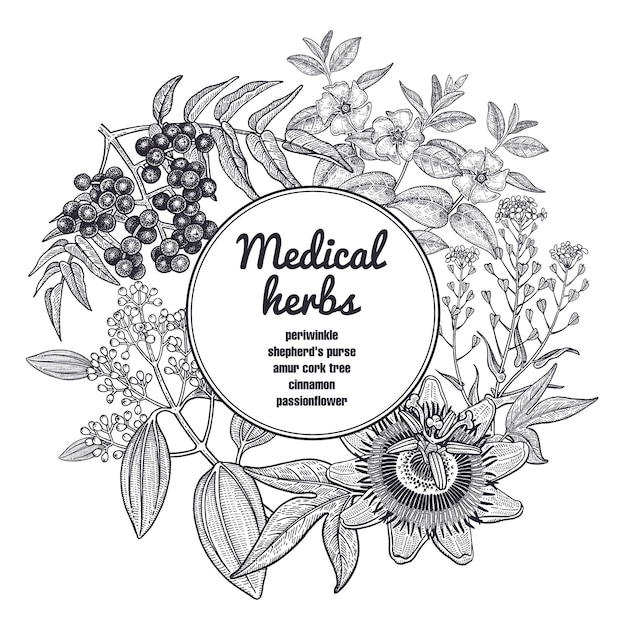 Medical herbs and plants Black and white card