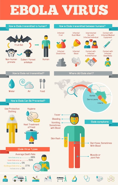 Medical Infographic Template.