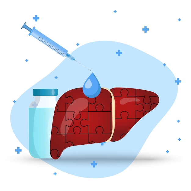 Medical treatments restores liver cartoon in vector illustration