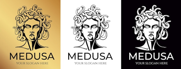 Medusa gorgon logo Head of a woman with snakes Protective amulet Logo for different directions Vector image