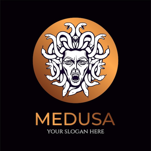 Medusa gorgon logo Head of a woman with snakes Protective amulet Logo for different directions Vector image