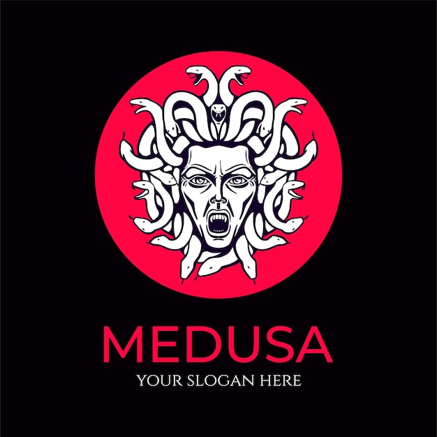 Medusa gorgon logo Head of a woman with snakes Protective amulet Logo for different directions Vector image