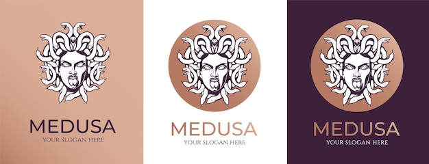 Medusa gorgon logo Head of a woman with snakes Protective amulet Logo for different directions Vector image