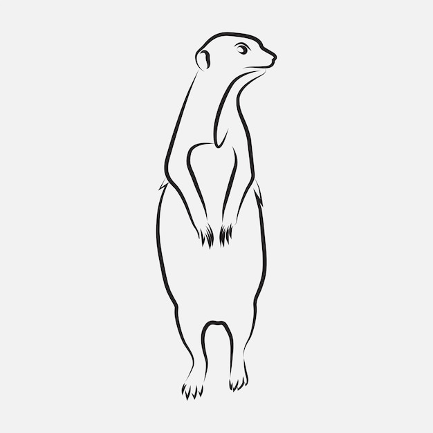 Meerkat Animal Line Art