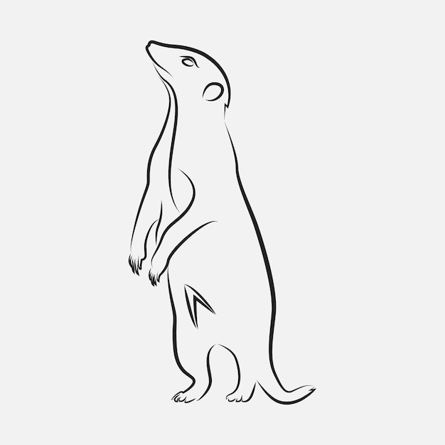 Meerkat Animal Line Art