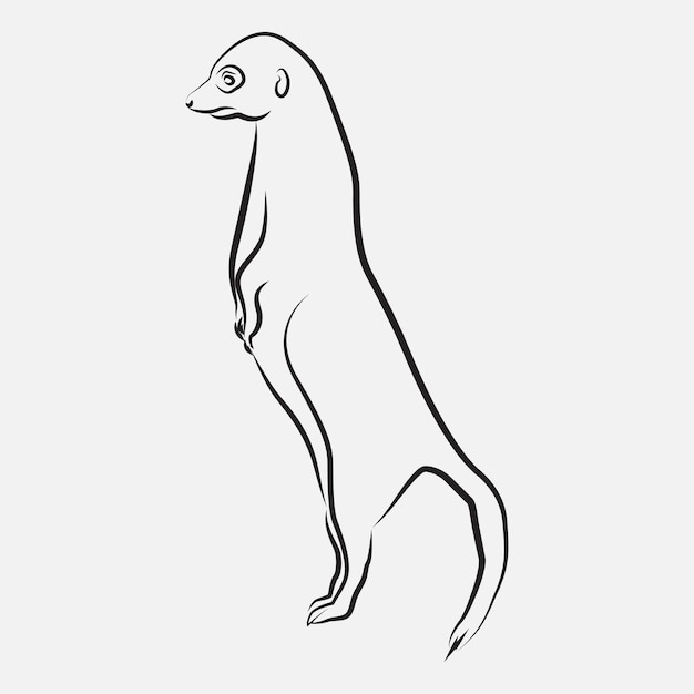 Meerkat Animal Line Art