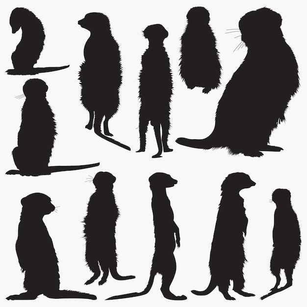 meerkat Silhouettes set