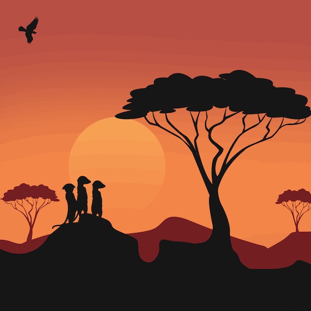 Meerkats Silhouettes Landscape