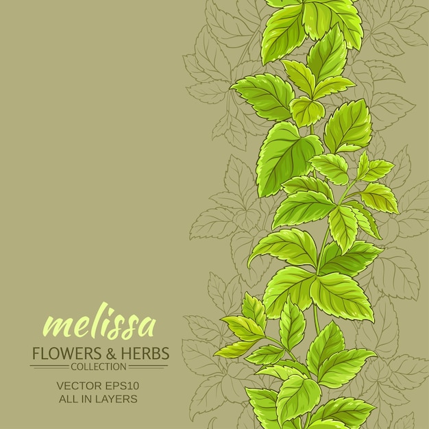 Melissa vector background