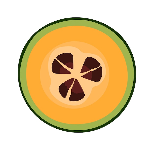 Melon Exotic Fruit Vector illustration