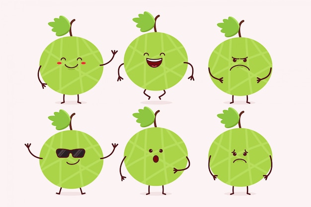 Melon Fruit Character Set