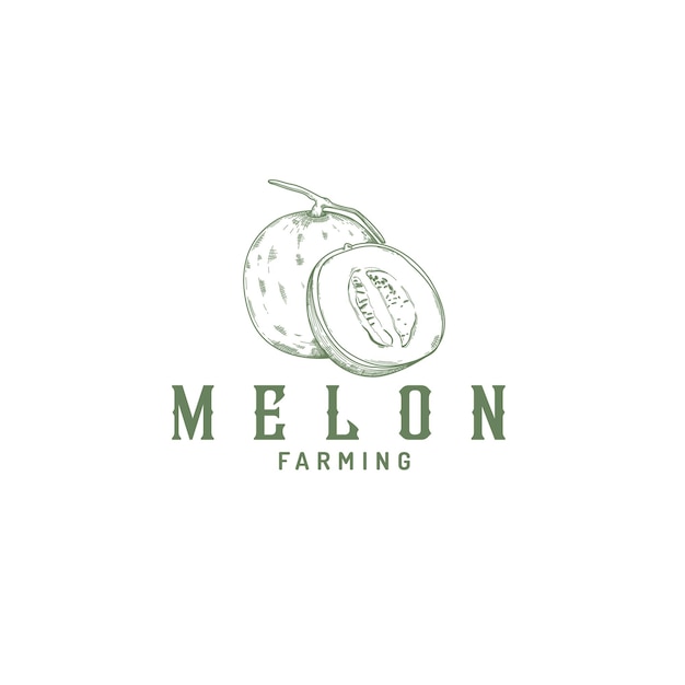 melon fruit vintage farm