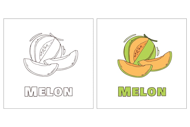 Melon Hand Drawn Coloring Page