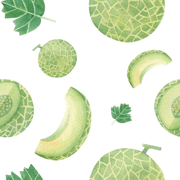 Melon handdrawn seamless pattern