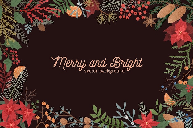 Merry and bright Christmas greeting background. Xmas botanical backdrop with text space. Poinsettia, mistletoe, juniper, cones, spruce and coniferous branches border on black background.