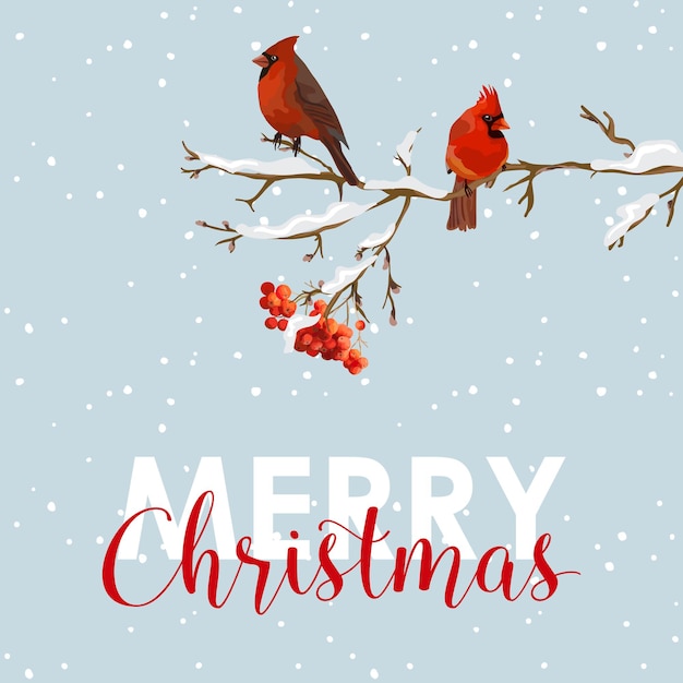 Vector merry christmas card winter birds with rowan berries