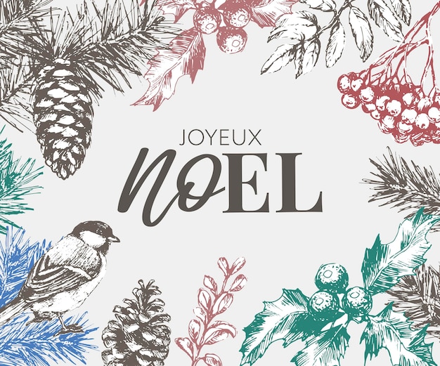 Merry Christmas in French language Joyeux Noel modern brush vector calligraphy Hand drawn calligraphic phrase isolated on white background Typography for greeting card postcards poster banner