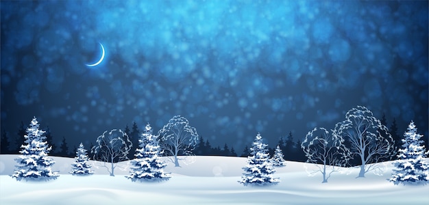 Merry Christmas winter night landscape