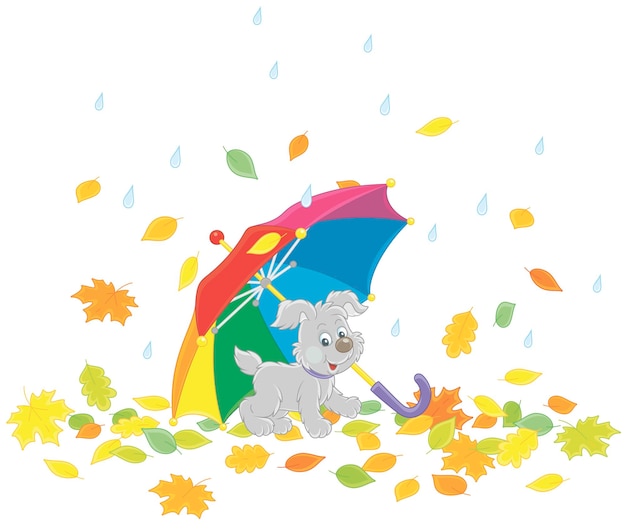 Merry little pup under a colorful toy umbrella among fallen autumn leaves in a park on a rainy day