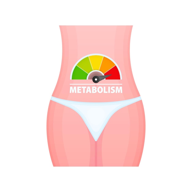 Metabolism level scale speedometer indicators Metabolism medical