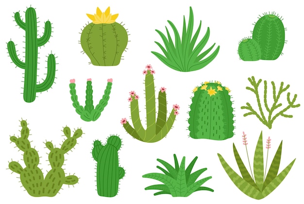 Mexican cactus Isolated mexico cacti houseplants decorative set Desert green cactuses nature blooming plants succulents Cartoon decent vector cute botanical kit