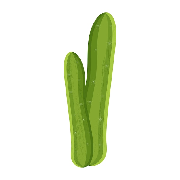 Mexican cactus vector illustration with thorns coloured