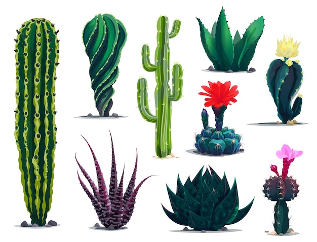 Mexican cactuses, cartoon prickly succulent plants