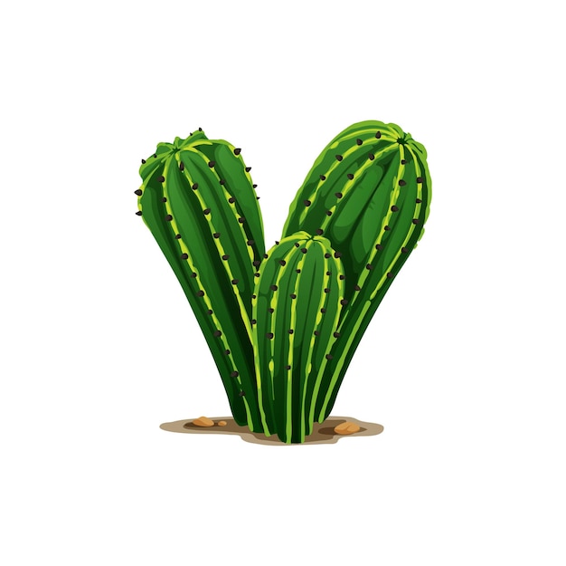 Mexican cartoon plant cactus flower three cacti