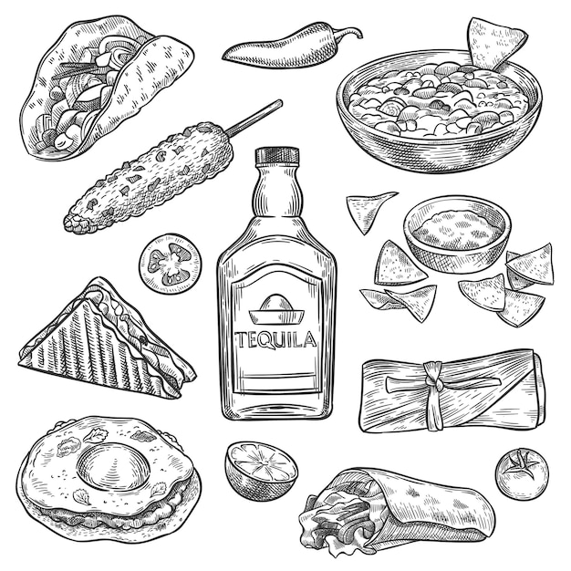 Mexican food. Sketch mexican national drink tequila and traditional food nachos, enchilada and burrito, tacos vintage isolated vector set. Sandwich, corn, tomato and lime for restaurant menu