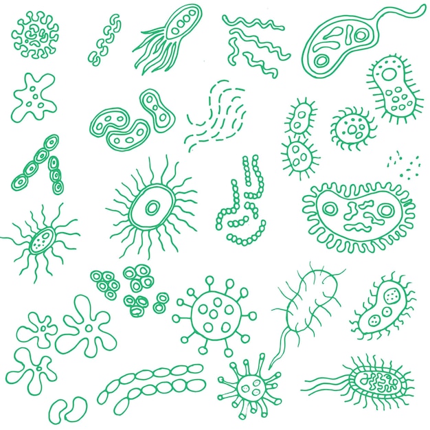 Microbes virus and pathogen line icons Bacteriology hygiene and infection outline isolated symbols