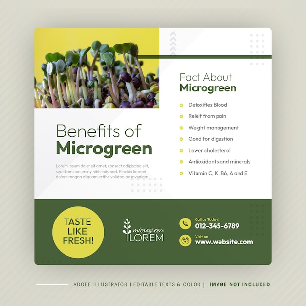 Microgreen Benefit Social Media Post Design and Microgreen plantation company banner Template