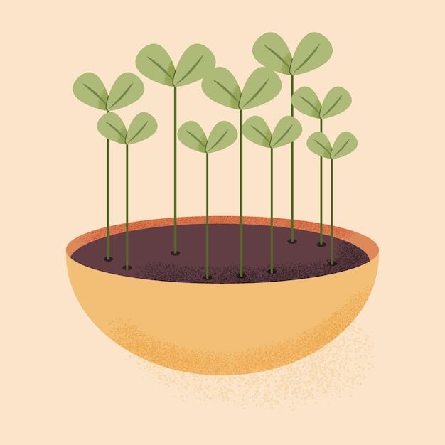 Microgreens in a pot flat vector illustration Sprouts of healthy and organic food