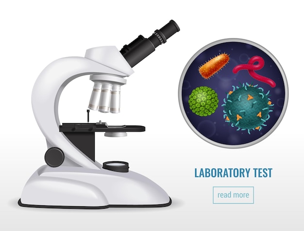 microscope with viruses or bacterias