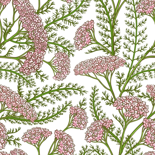 Milfoil vector pattern