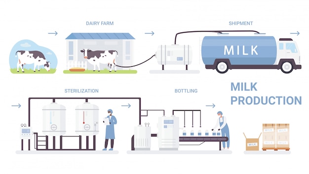 Vector milk bottle production process  illustration. cartoon  infographic poster with processing line in automated dairy factory, making pasteurization and bottling milk product  on white