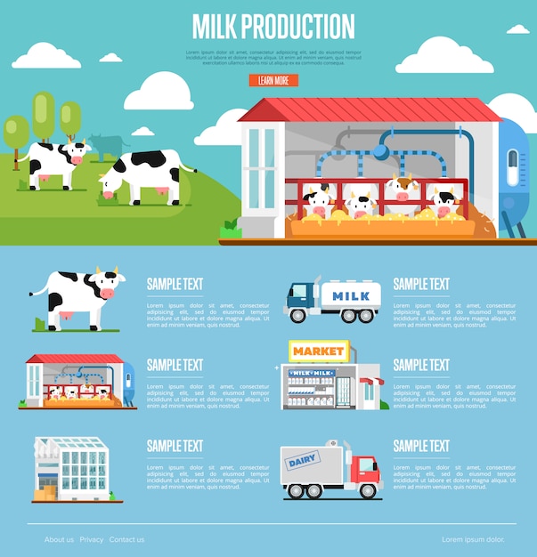 Milk production infographics in flat style