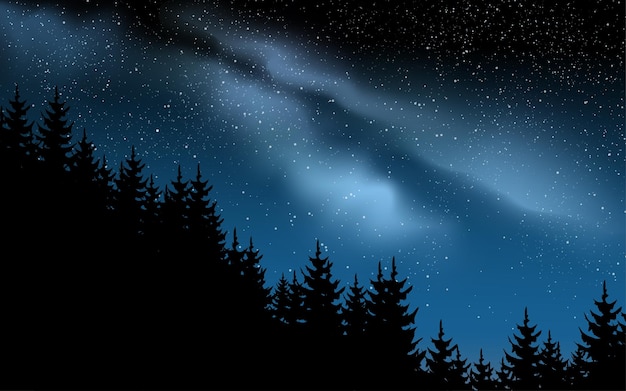 Milky way night landscape illustration with pine trees silhouette